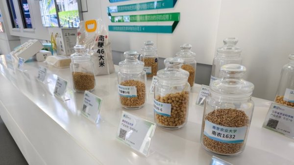 捷希源配资 农业农村部：聚焦农业科技创新等重点领域 努力争取增量政策