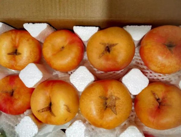 宝融配资 “爆炸桃”其实是坏果子，花里胡哨的营销该歇歇了