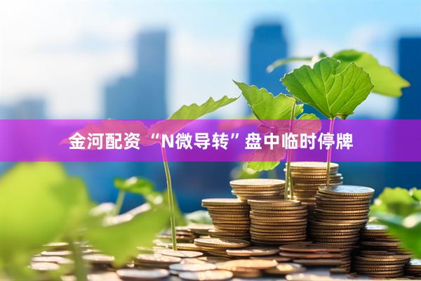 金河配资 “N微导转”盘中临时停牌